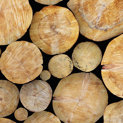 stacked-wooden-logs-wallpaper-zoom-view