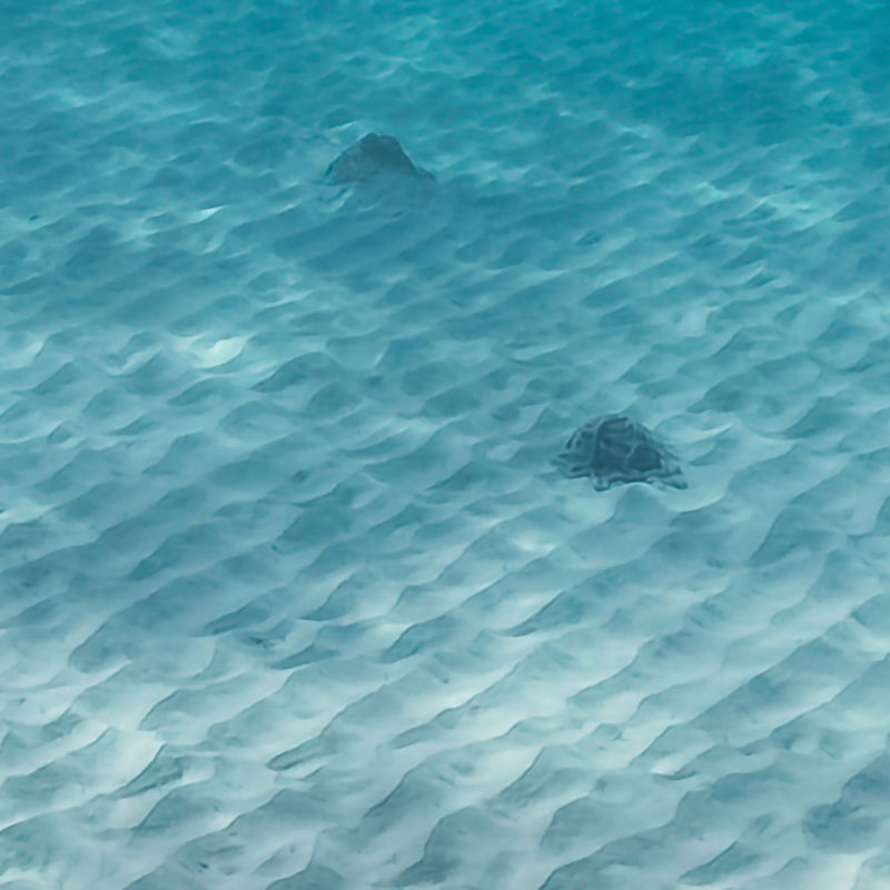 underwater-sand-and-ocean-wallpaper-wallpaper-zoom-view
