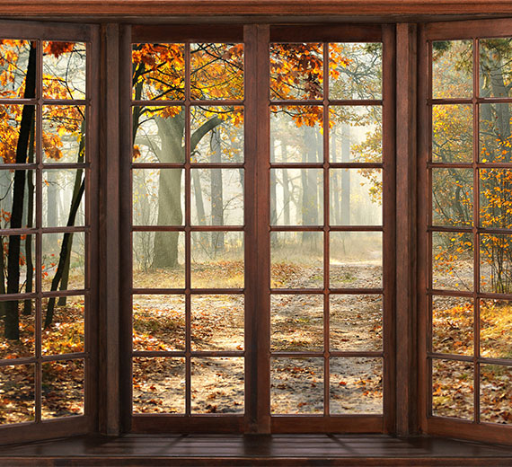 autumn-season-through-brown-glass-door-wallpaper-wallpaper-thumb