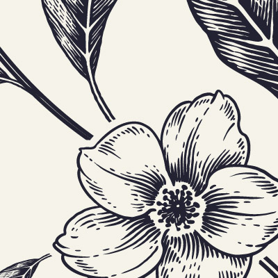 Minimalistic Flower - AaLii - Drawings & Illustration, Flowers, Plants, &  Trees, Flowers, Other Flowers - ArtPal