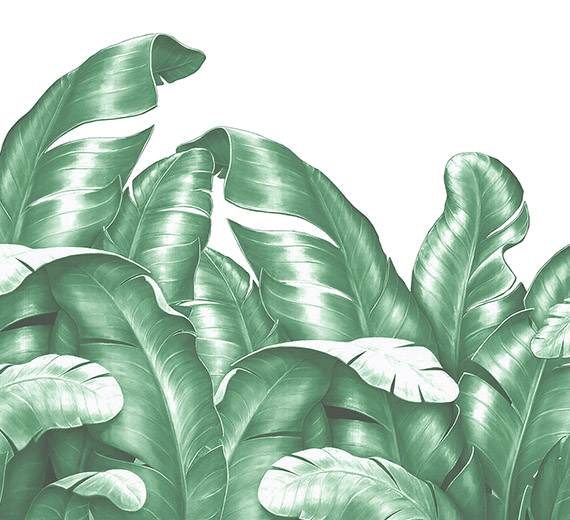 green-nature-design-Singular design large mural-thumb