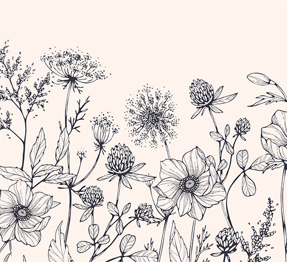sketch-of-flowers-in-garden-in-beige-wallpaper-wallpaper-thumb