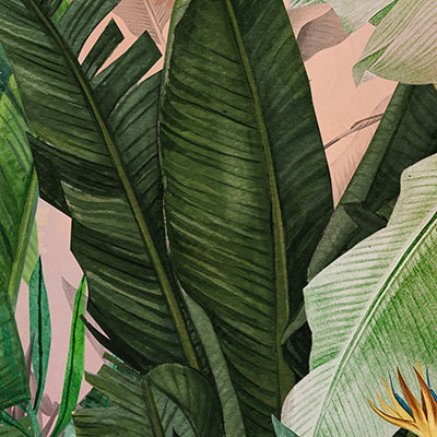 pink-leaf-wallpaper-zoom-image