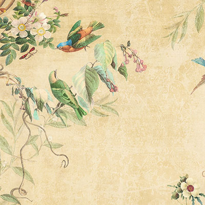 tropical-flower-wallpaper-zoom-image